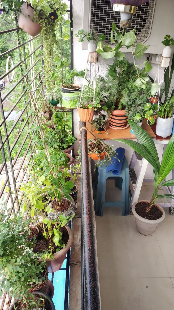 Indoor Gardening for Apartments Chennai image 4