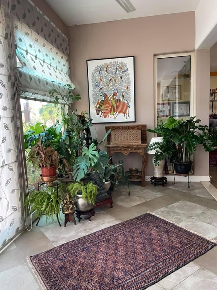 Indoor Plant Renovation Service Chennai image 5