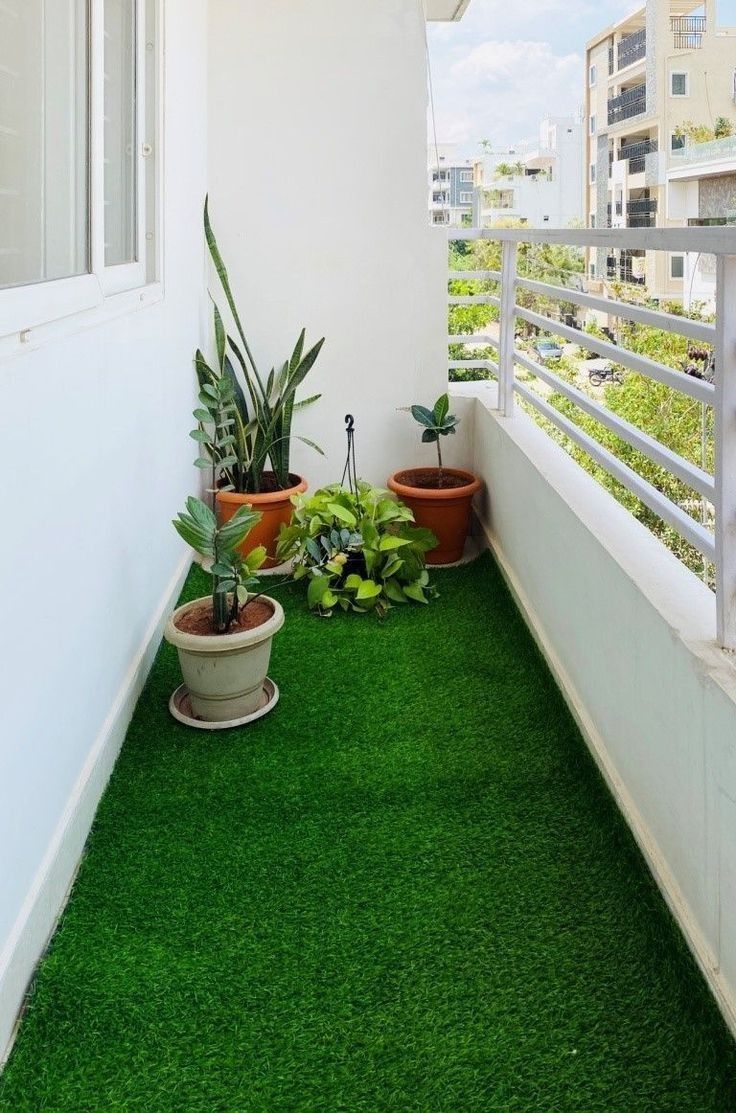 Professional Balcony Garden Maintenance in Chennai image 3