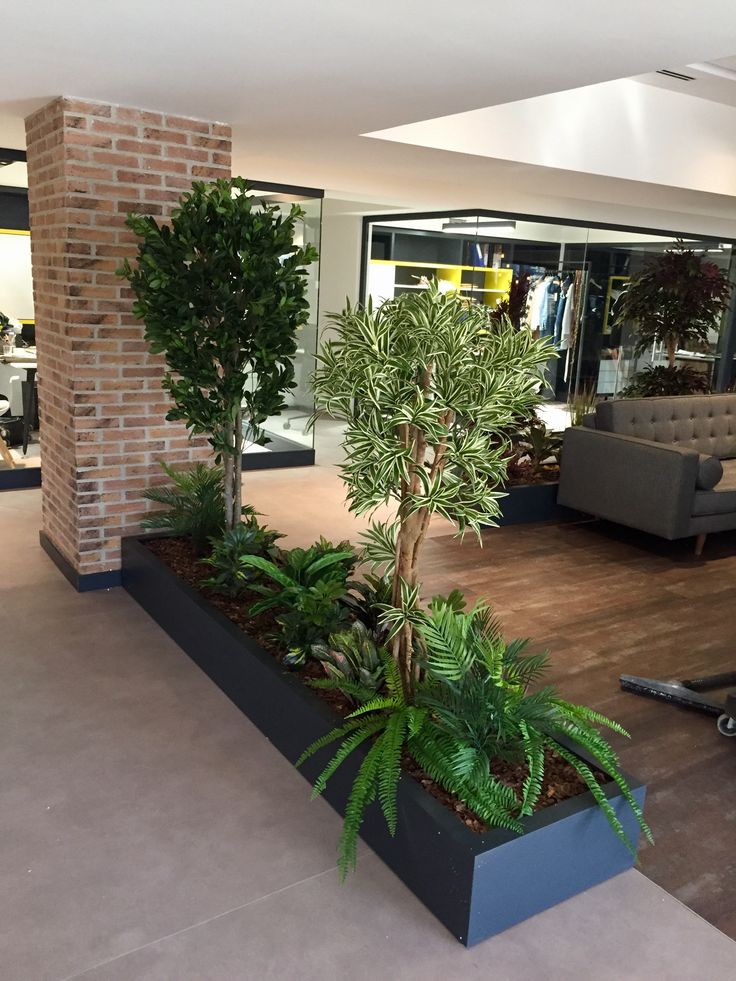 Professional Indoor Garden Setup Chennai image 2