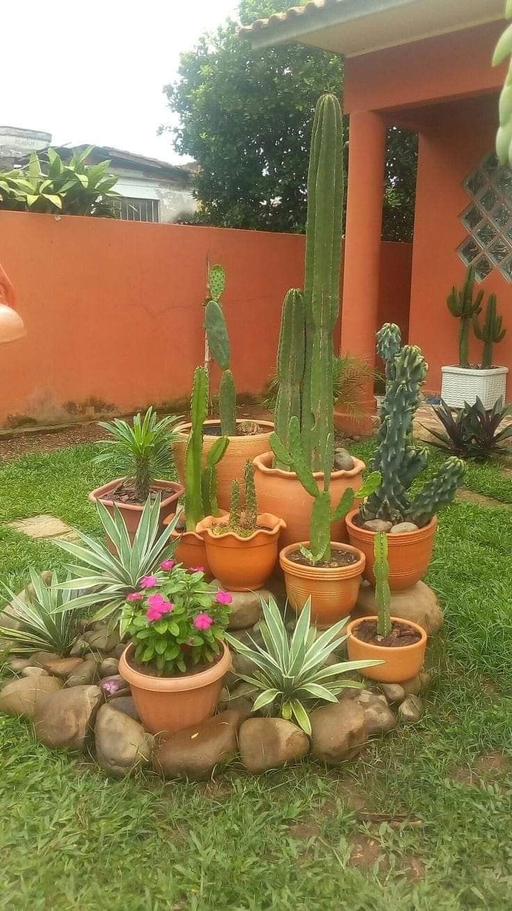 Modern Outdoor Garden Design Chennai image 5