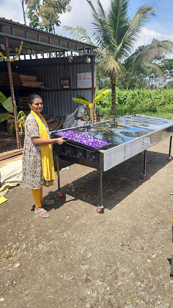 Solar Lemon Dryer image 2