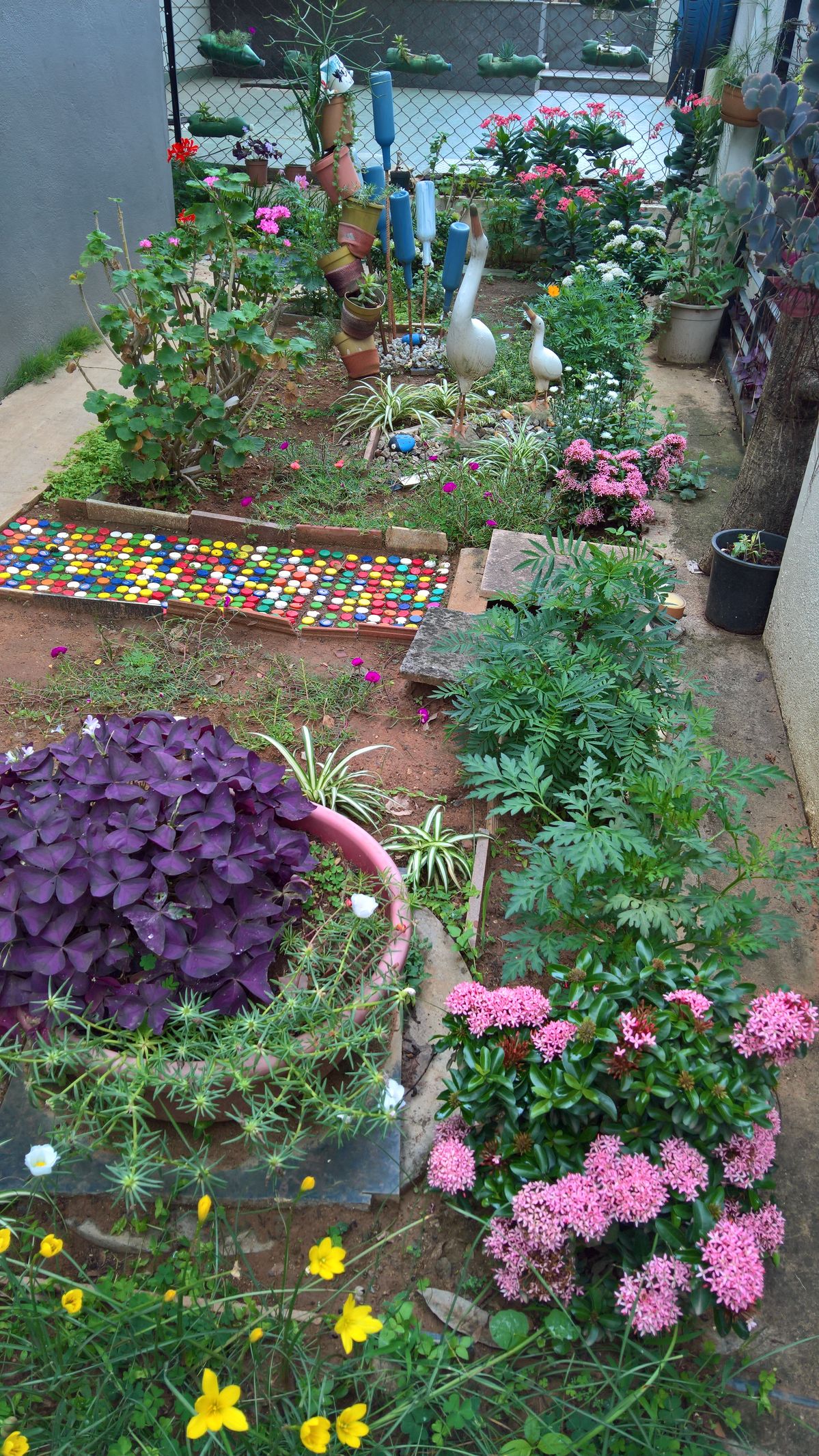 Outdoor Garden Soil & Manure Service Chennai image 4