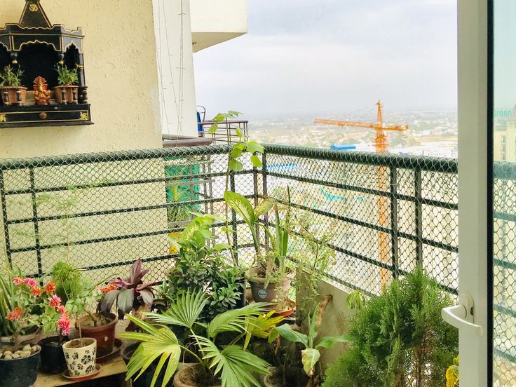 Outdoor Gardening for Apartments in Chennai image 2