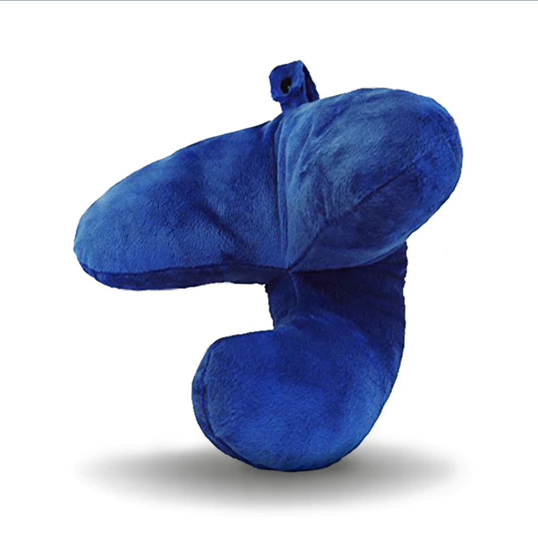 J Pillow Travel Pillow, Head, Chin and Neck Support image 2