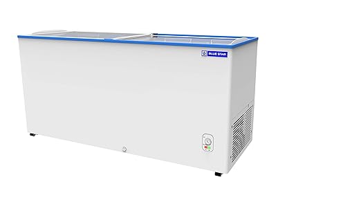 Bluestar Double Door Deep Freezer image 2