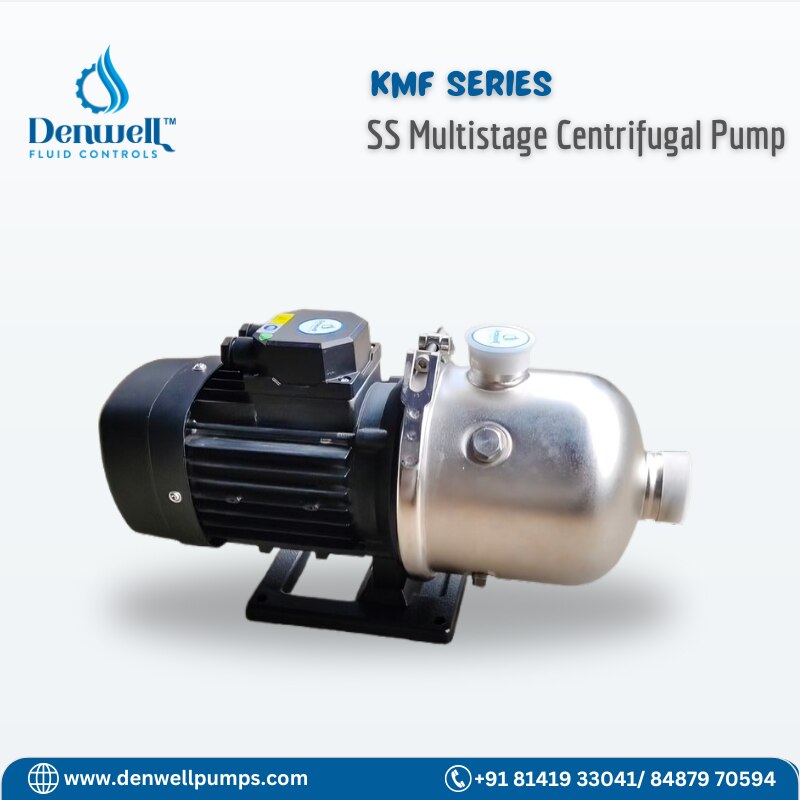 SS Multistage Centrifugal Pump image 2