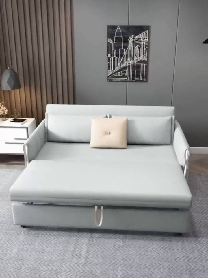 Sofa Cum Bed  image 3