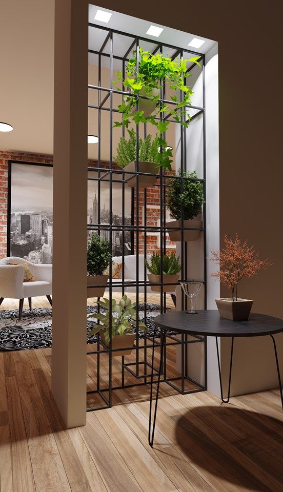Indoor Plant Experts Chennai image 5