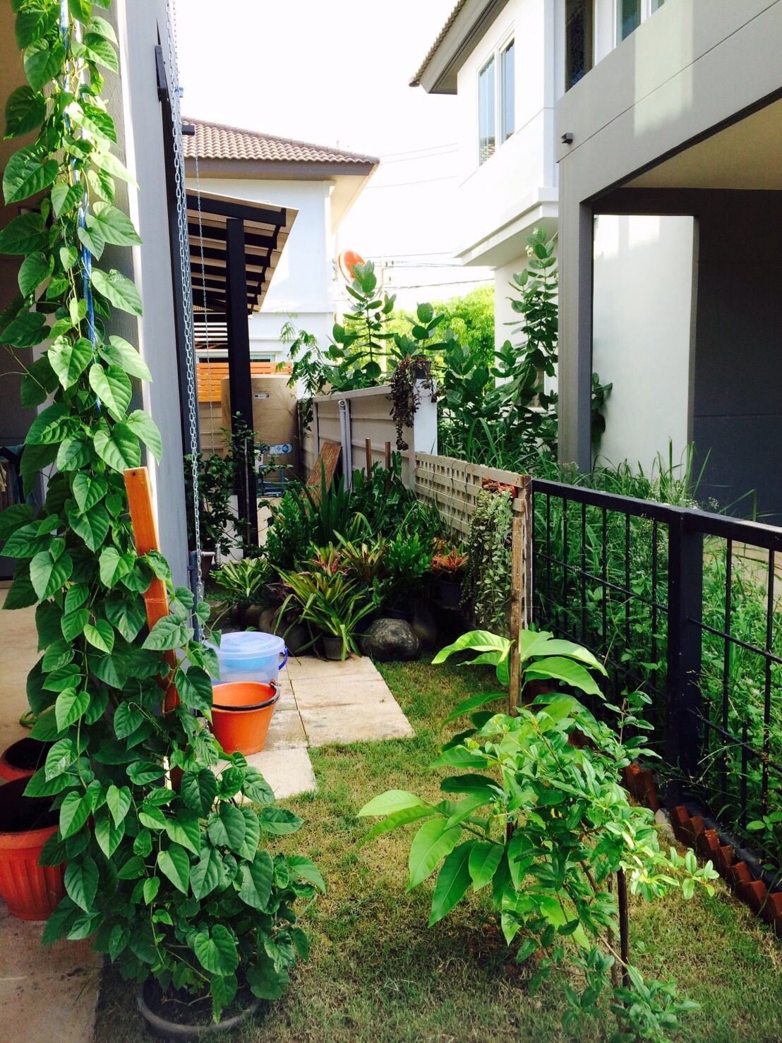 Outdoor Gardening Maintenance Packages Chennai image 5