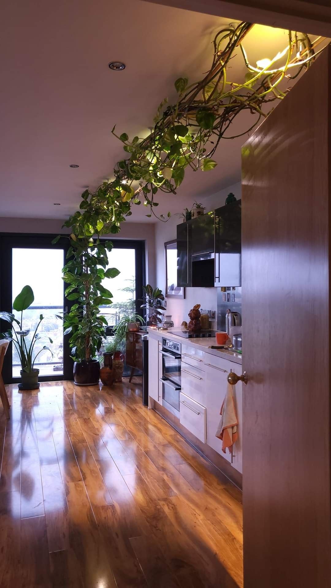 Top Indoor Garden Services Chennai image 3