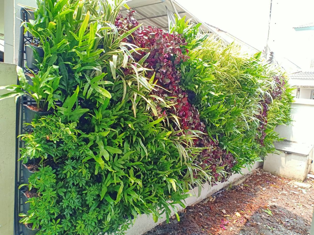 Outdoor Vertical Garden Setup Chennai image 5