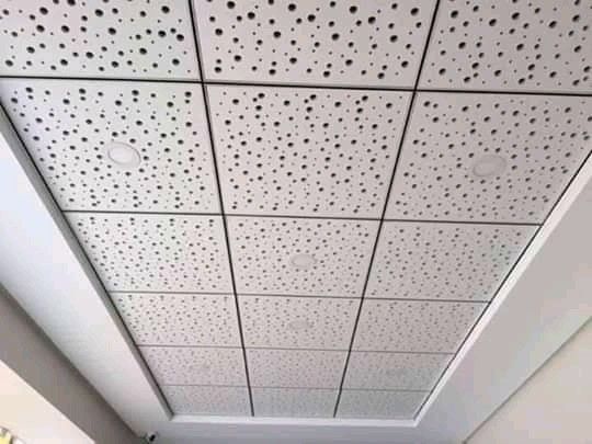 Lightweight Axora Ceiling Panels for False Ceiling Designs image 3