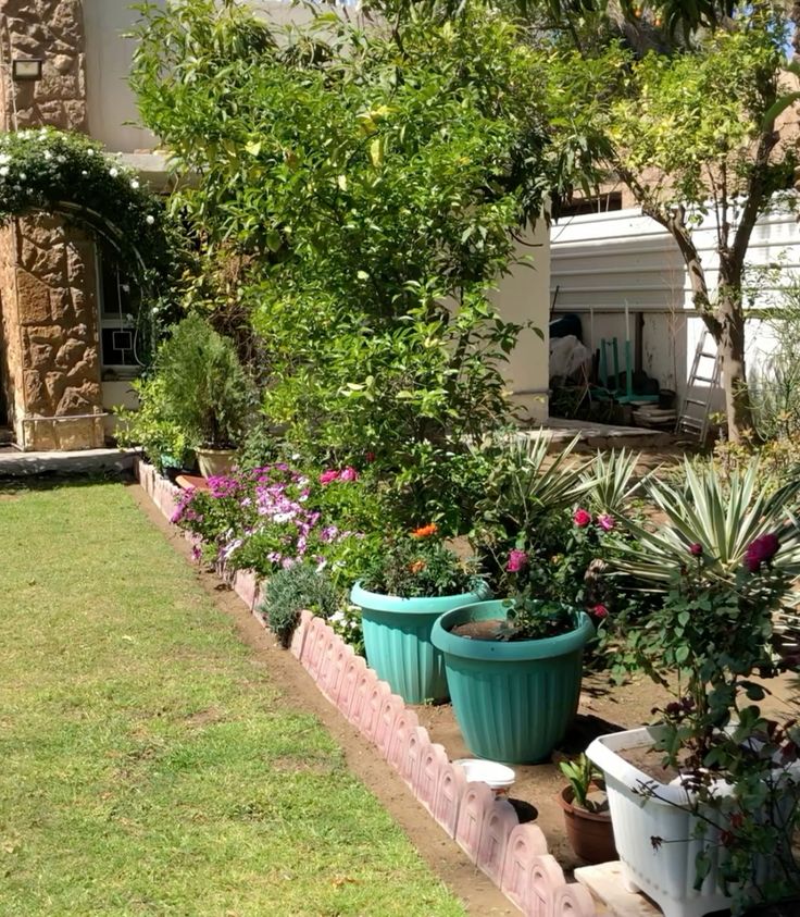 Professional Outdoor Garden Care Chennai image 3