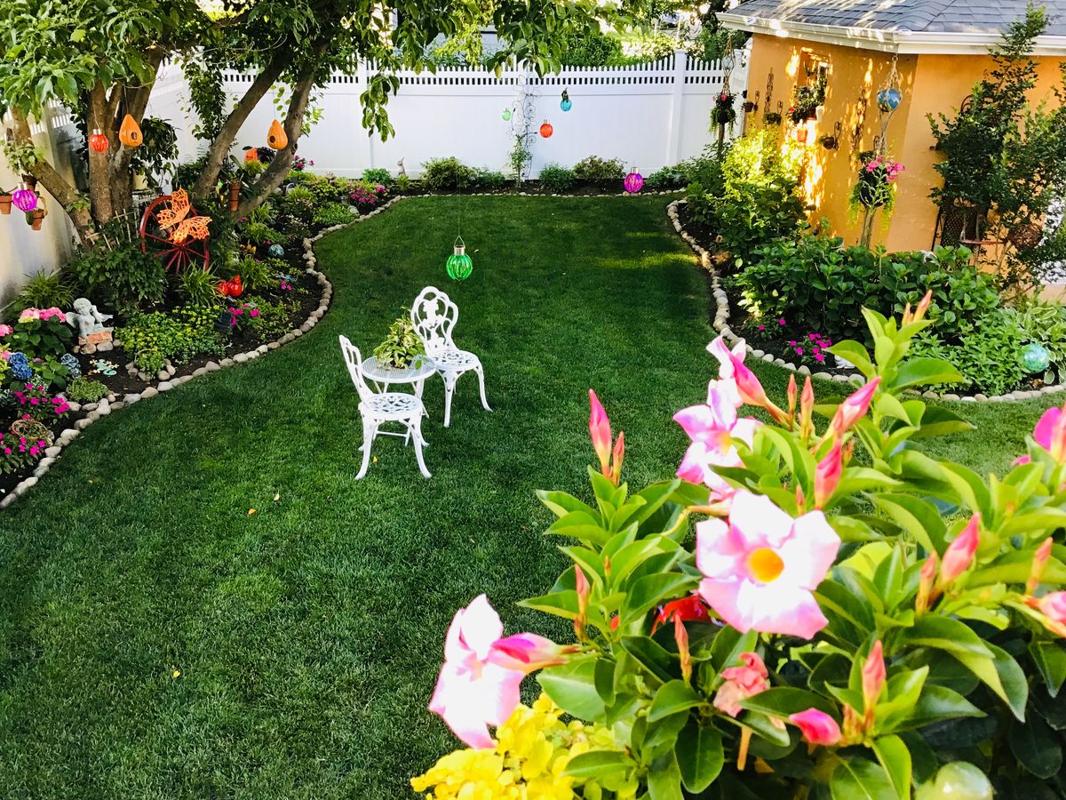 Professional Outdoor Garden Care Chennai image 5