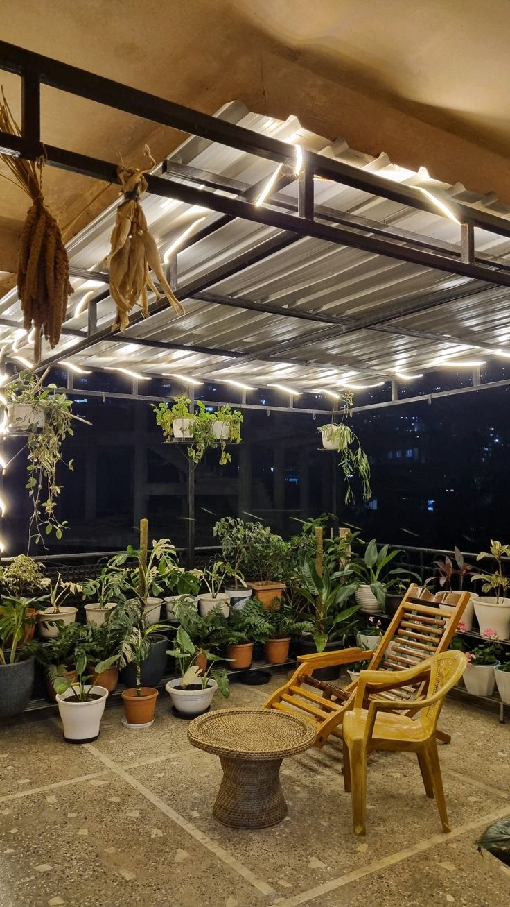 Balcony Gardening with Drip Irrigation Setup in Chennai image 2