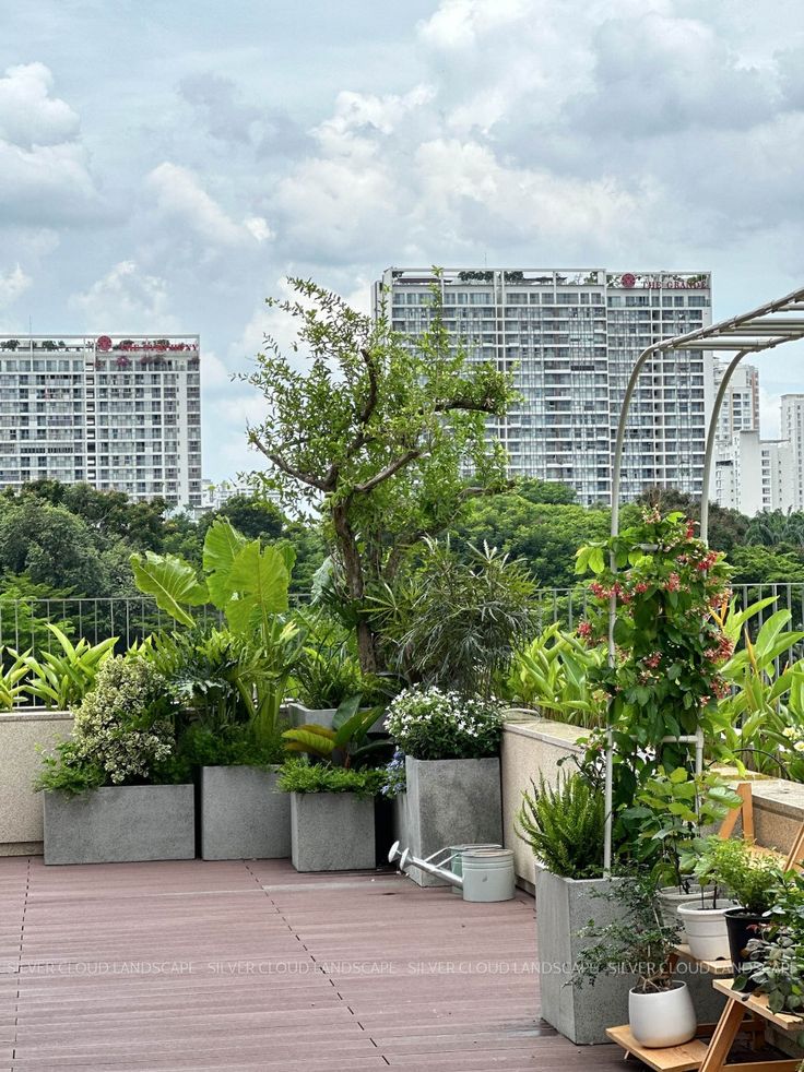 Terrace Gardening Service in Chennai for Homes & Apartments image 5