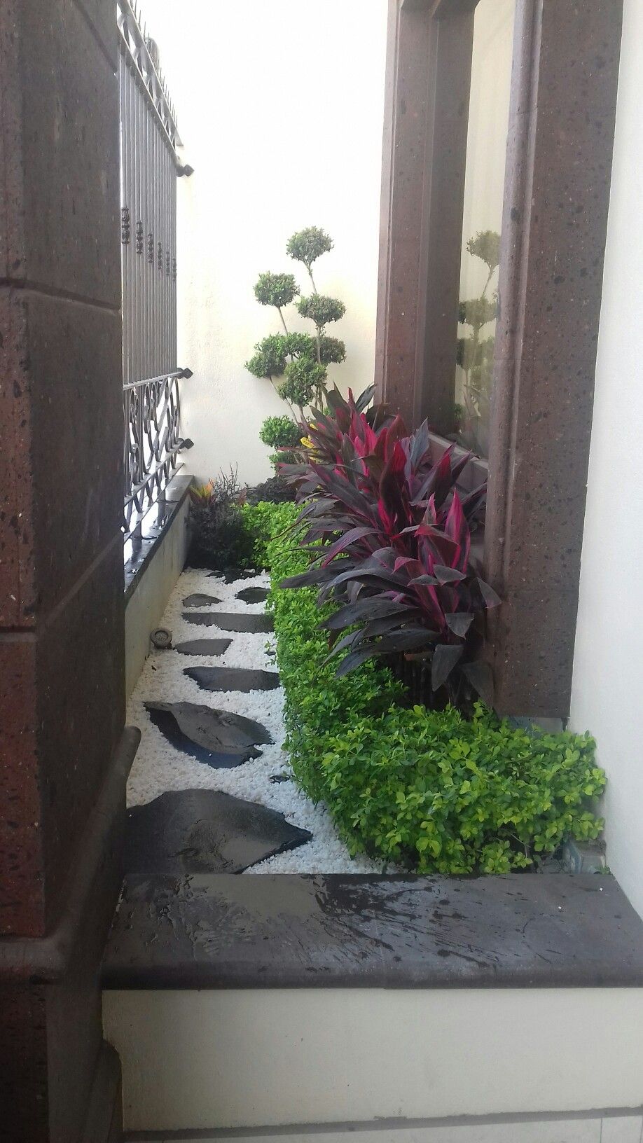Top-Rated Backyard Landscaping Company Chennai image 3