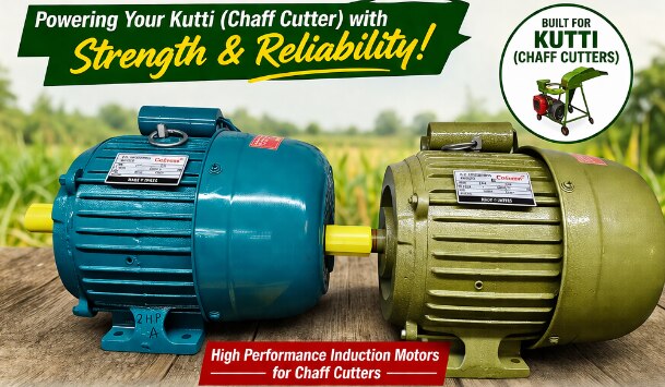Calama Single Phase Electric Motor image 2