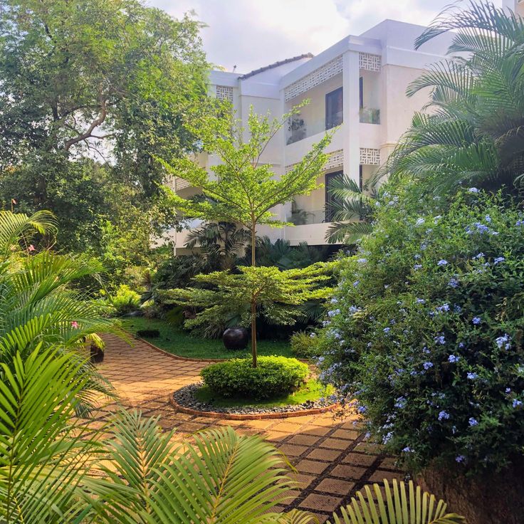 Best Frontyard Landscape Designers in Chennai image 4