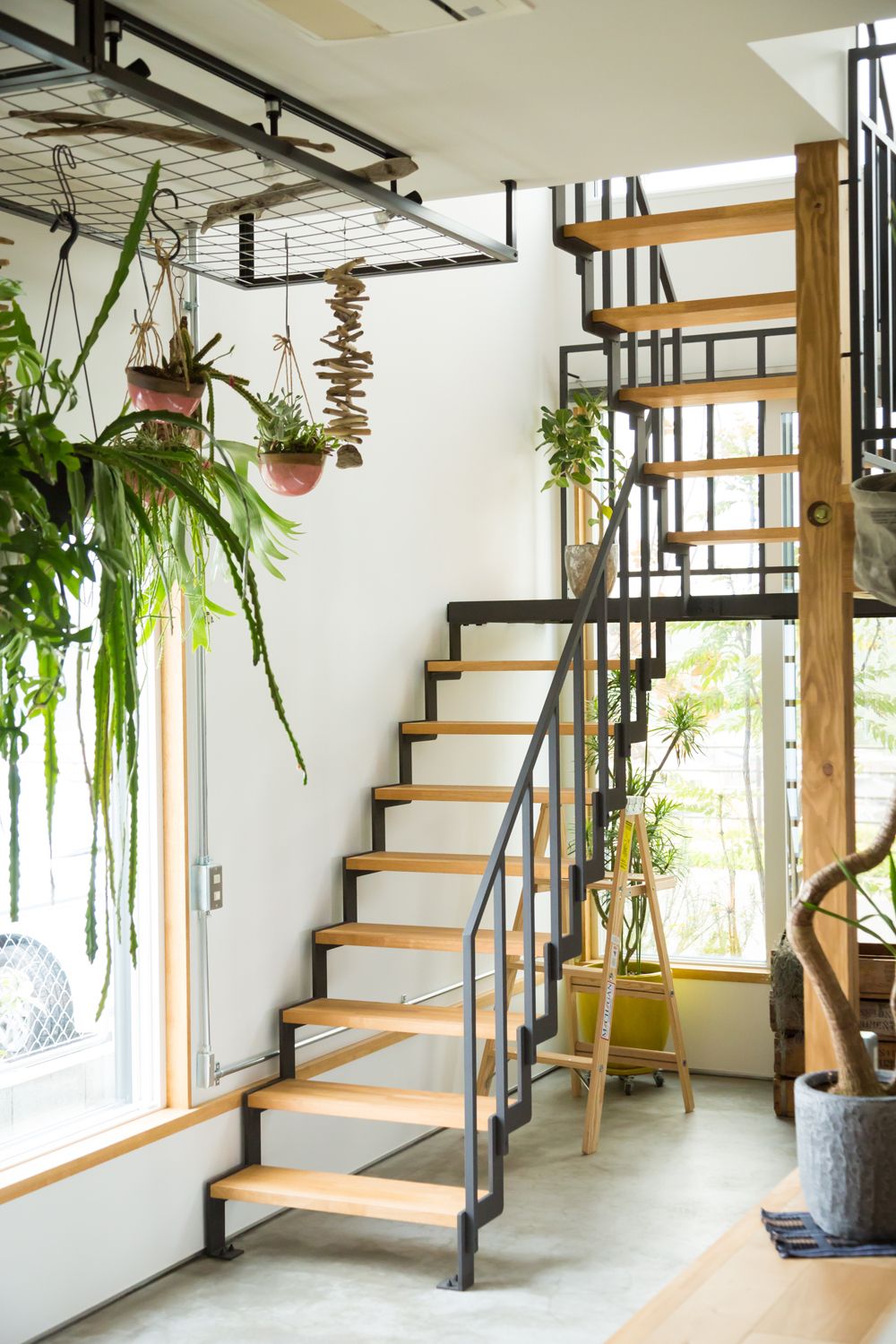 Indoor Plant Styling Experts Chennai image 5
