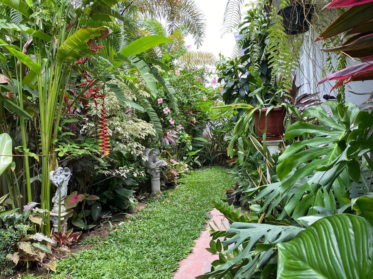 Outdoor Gardening Service in Chennai image 5