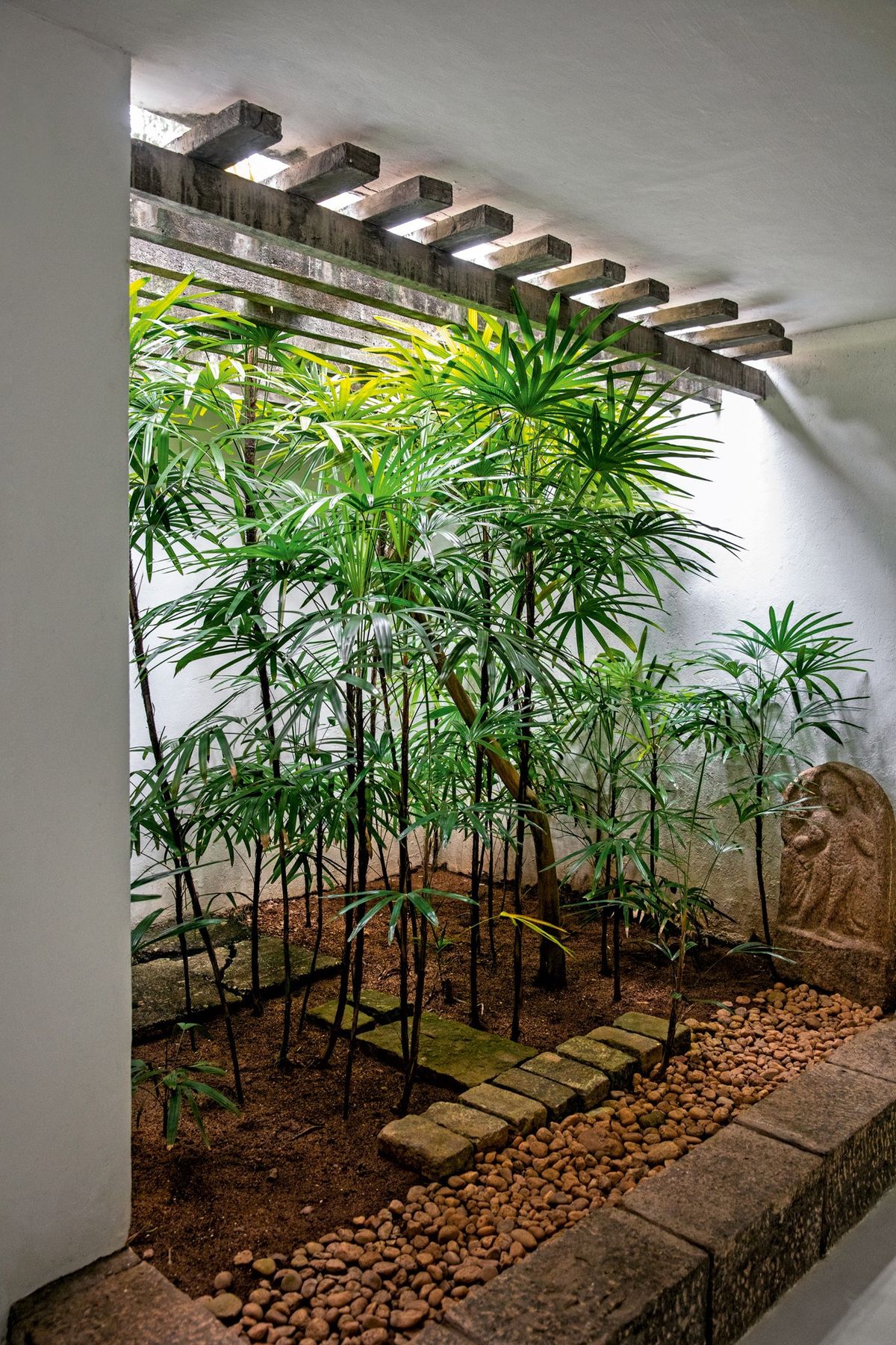 Indoor Plant Care & Maintenance Chennai image 2