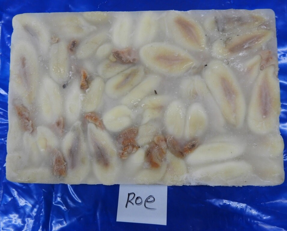 CUTTLEFISH EGG/ ROE image 2