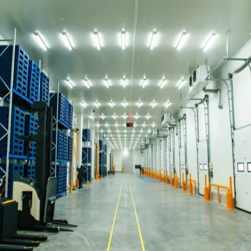 Cold Storage Room image 2