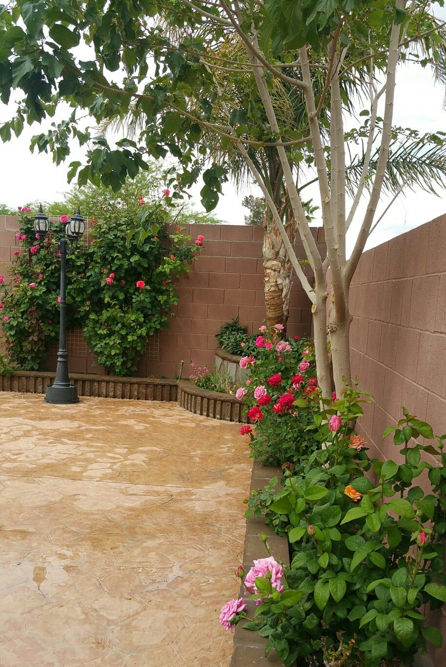 Outdoor Greenery Enhancement Services Chennai image 4