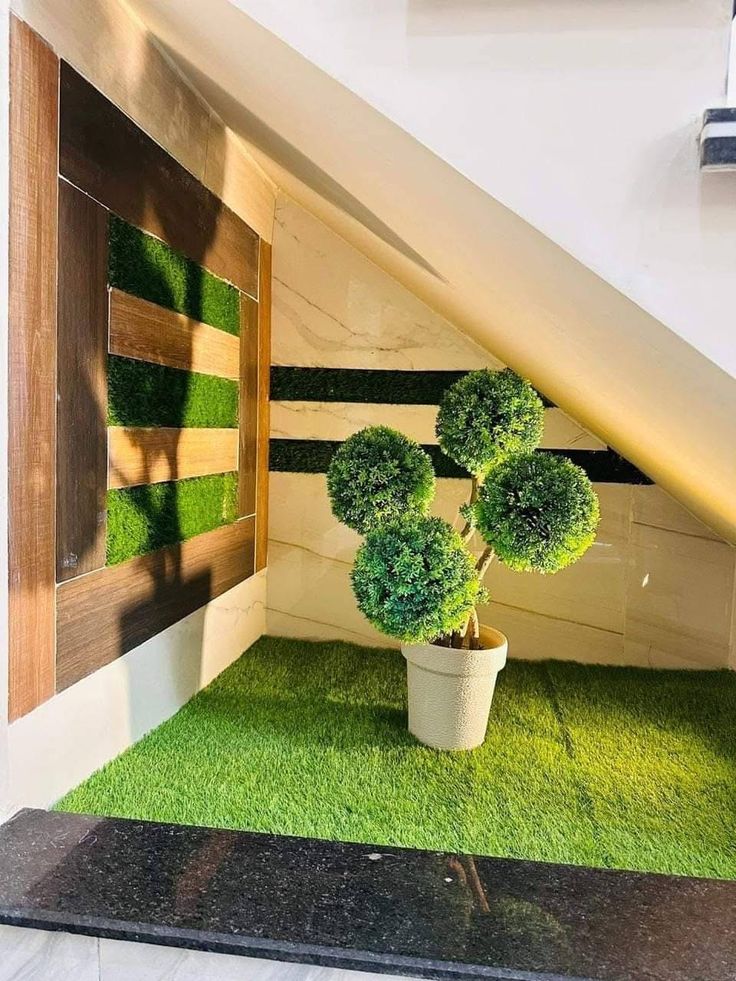Indoor Garden Care Chennai image 4