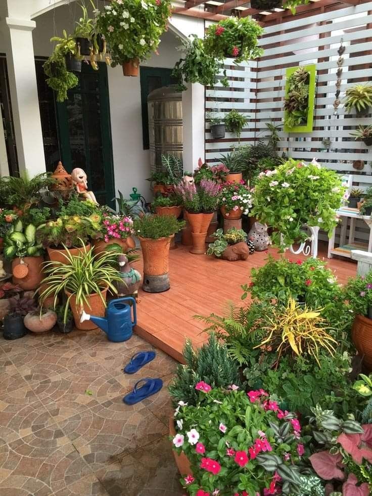 Customized Terrace Gardening Service in Chennai image 3