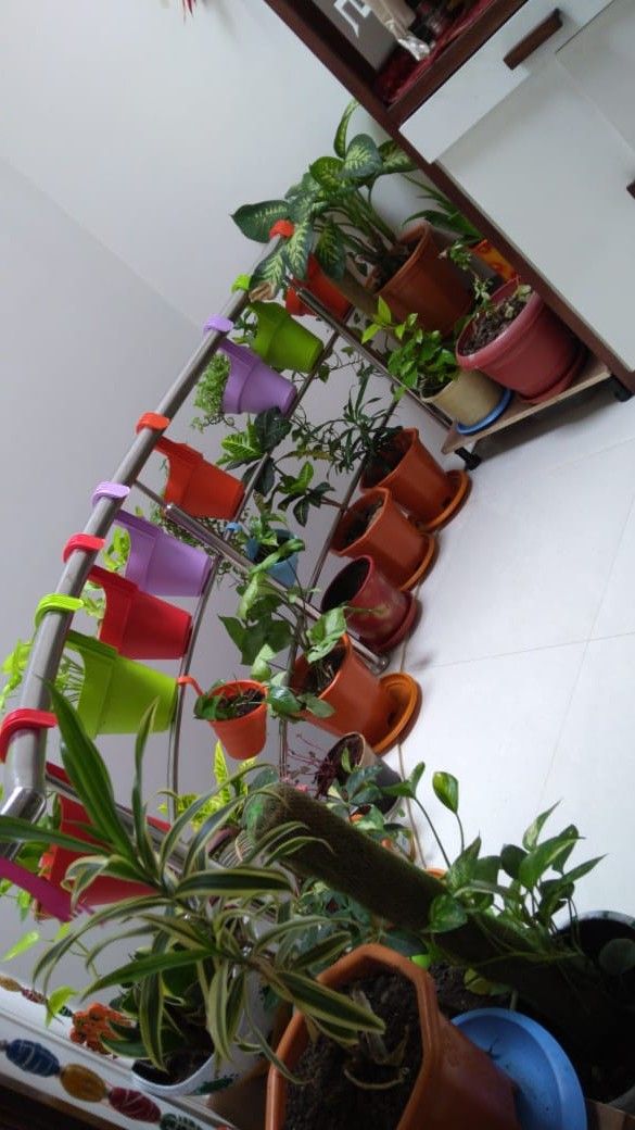 Professional Balcony Planters & Pots Setup in Chennai image 3