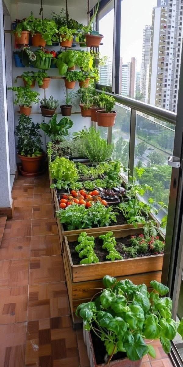 Organic Balcony Garden Setup Services in Chennai image 2