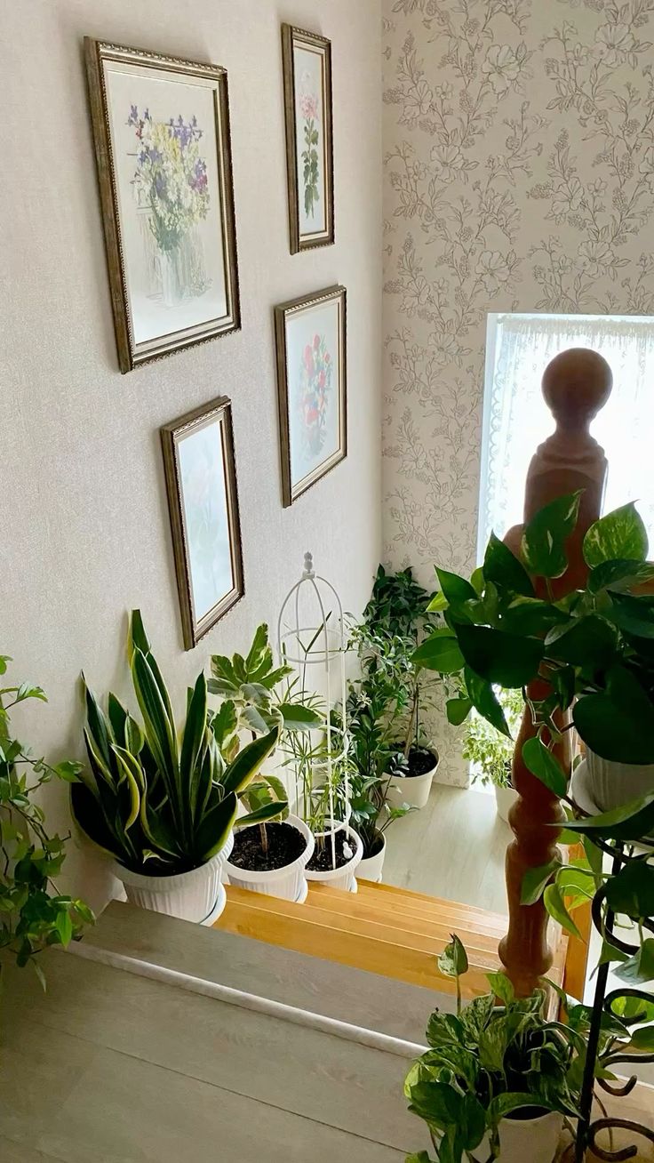 Indoor Plant Styling Experts Chennai image 3