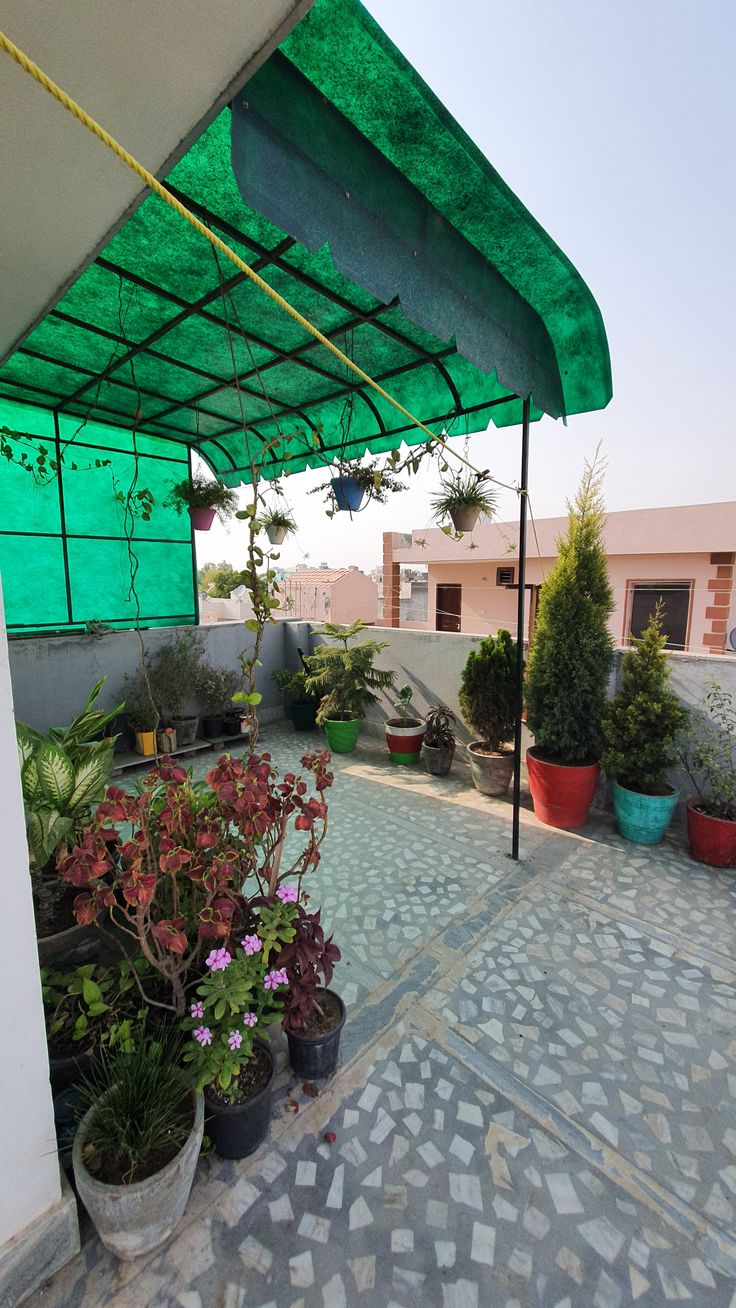 Customized Terrace Gardening Service in Chennai image 5