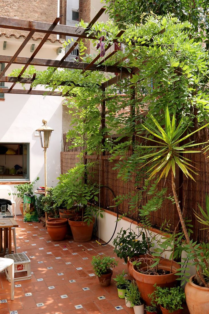 Modern Terrace Garden Design & Maintenance in Chennai image 4