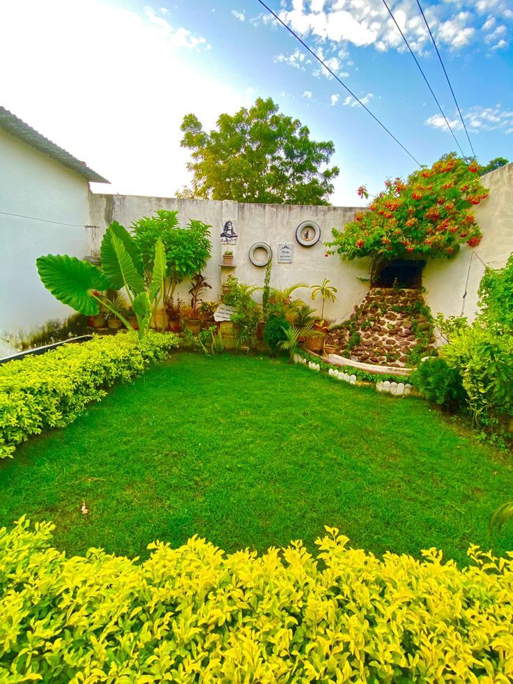 Outdoor Garden Pest Control Solutions Chennai image 4