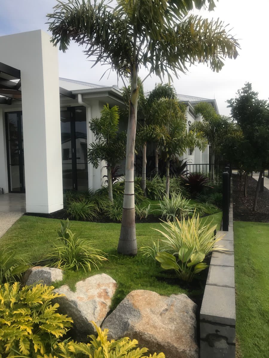Frontyard Lawn Installation Service Chennai image 4