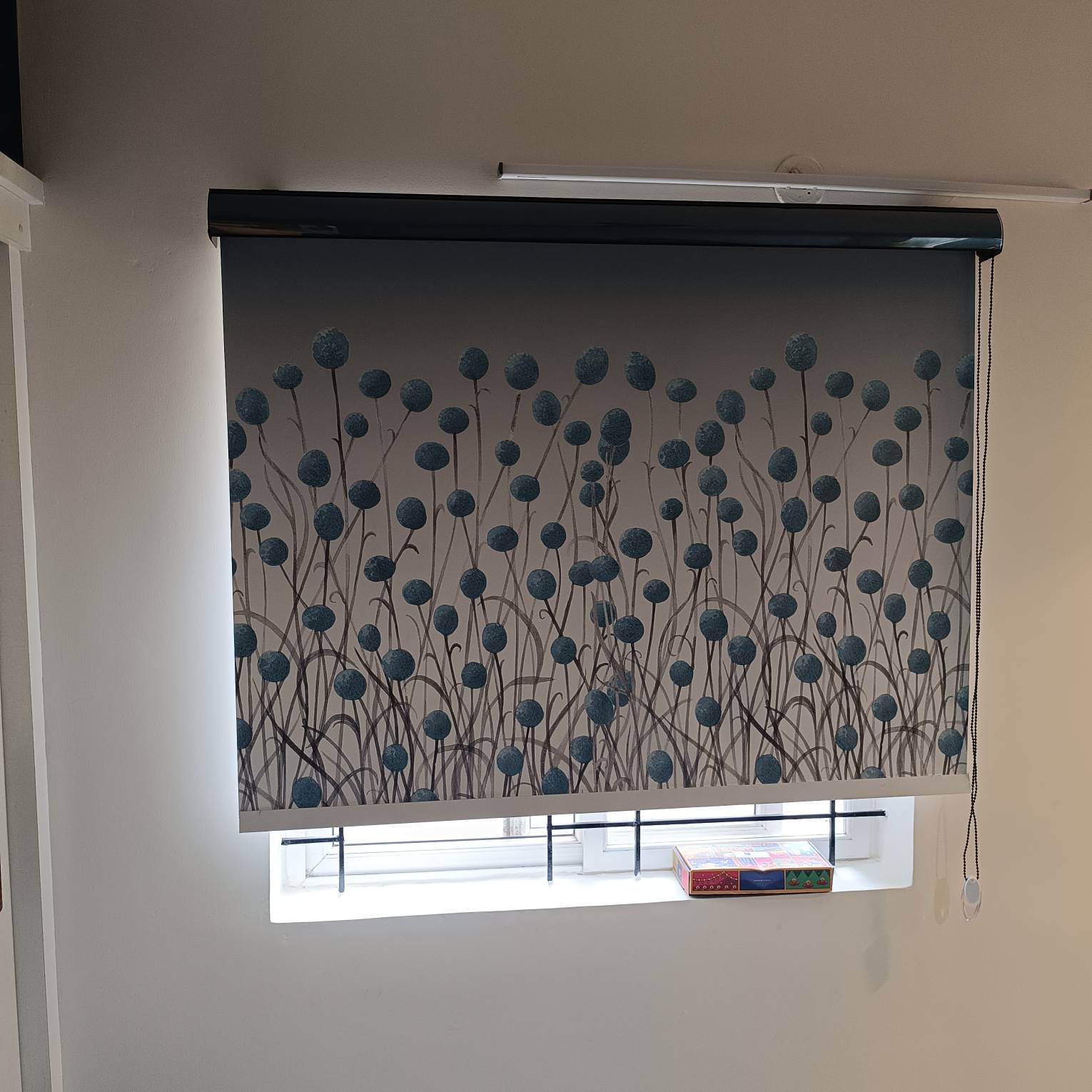 Printer Roller Blinds image 6