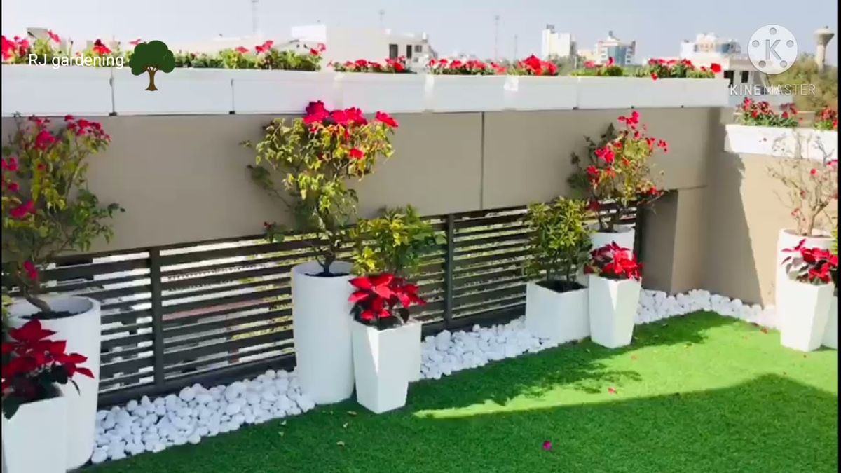 Complete Terrace Greenery Enhancement Service in Chennai image 3