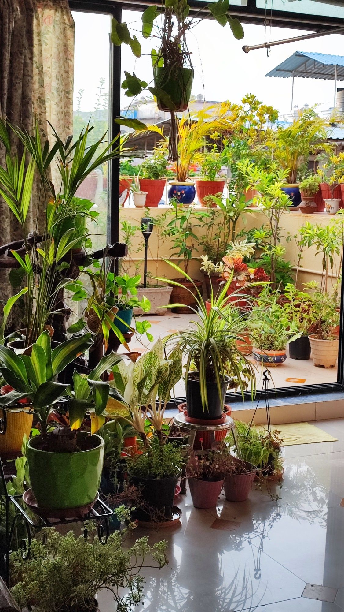 Full Terrace Garden Makeover Service in Chennai image 2