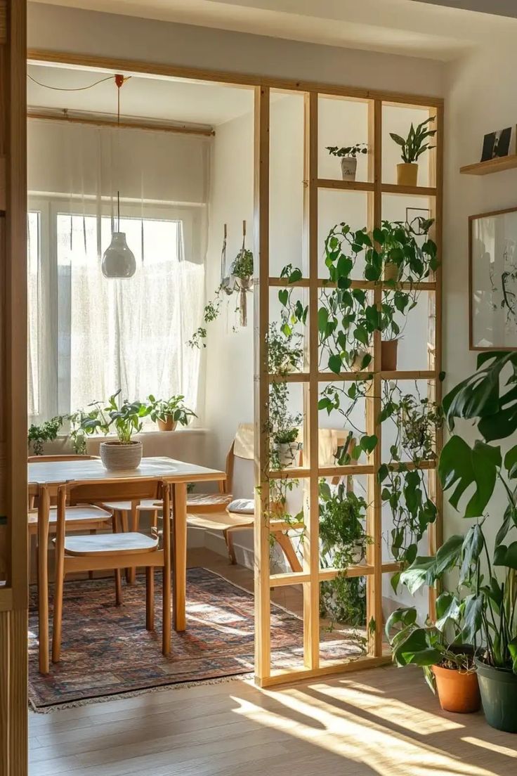 Indoor Gardening Service Packages Chennai image 2
