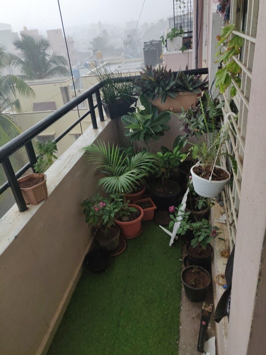 Professional Balcony Garden Maintenance in Chennai image 2