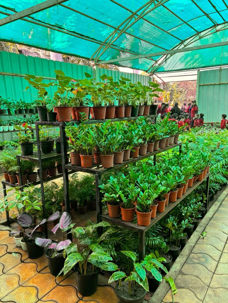 High-Quality Terrace Gardening Contractors in Chennai image 4
