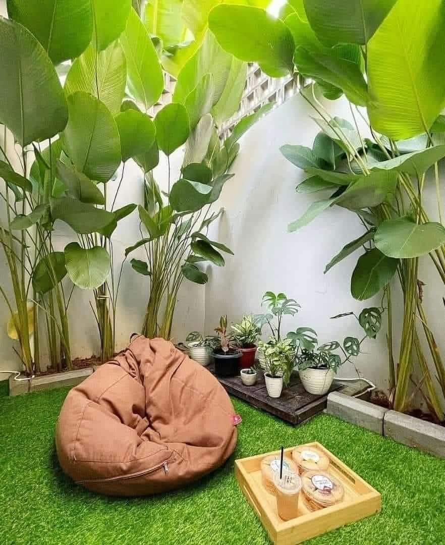 Backyard Landscape Planning and Execution Chennai image 5