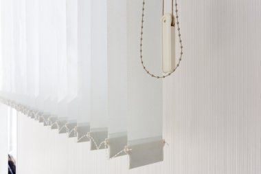 BLINDS image 2