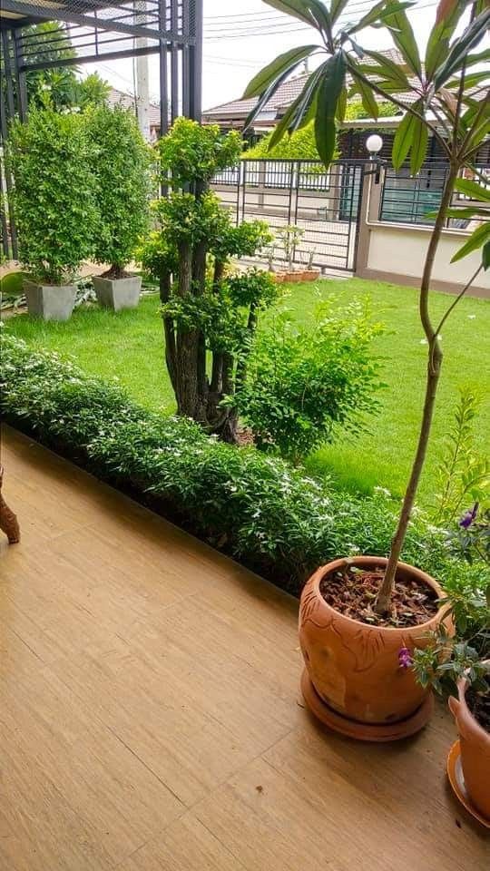 Outdoor Gardening Maintenance Packages Chennai image 2