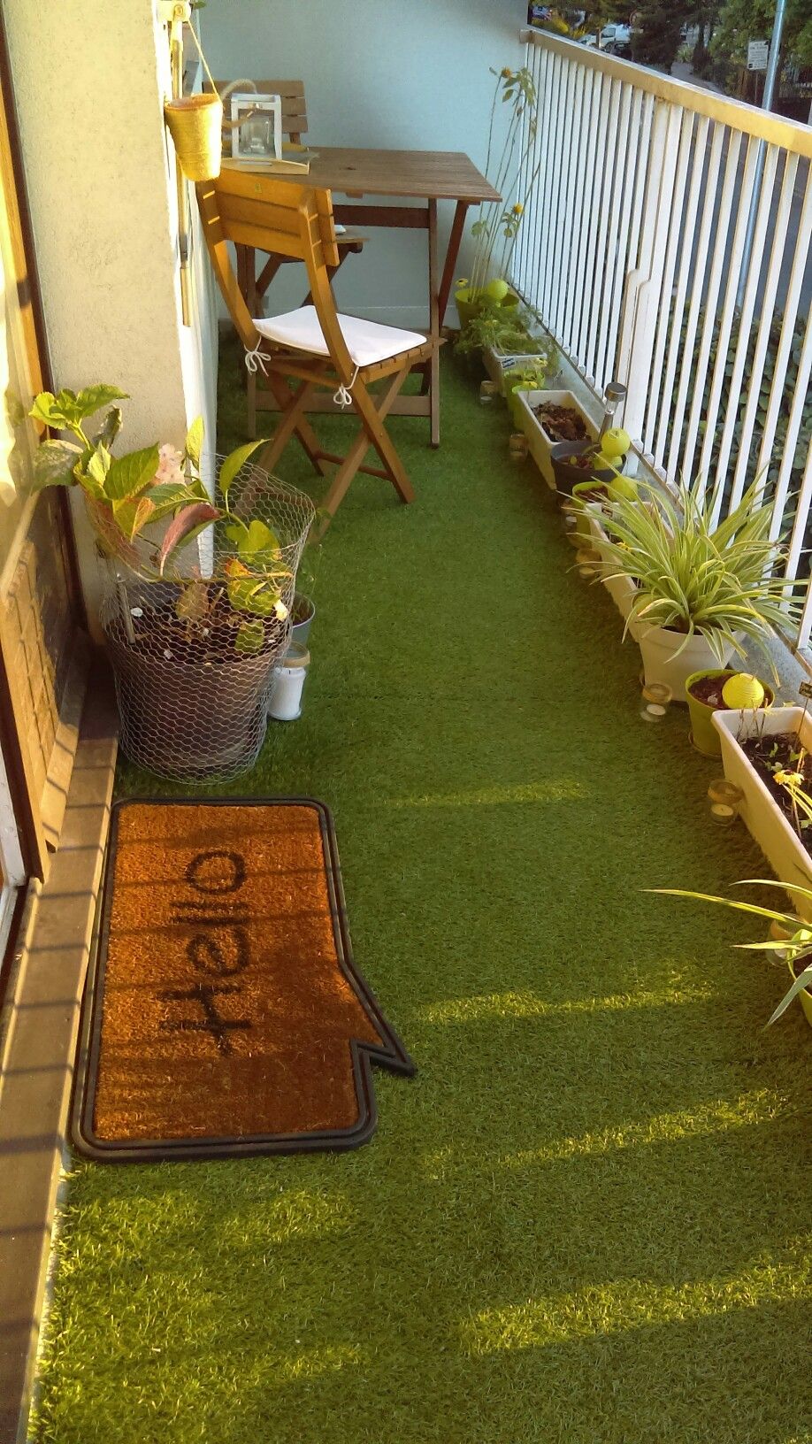 Professional Balcony Garden Maintenance in Chennai image 4