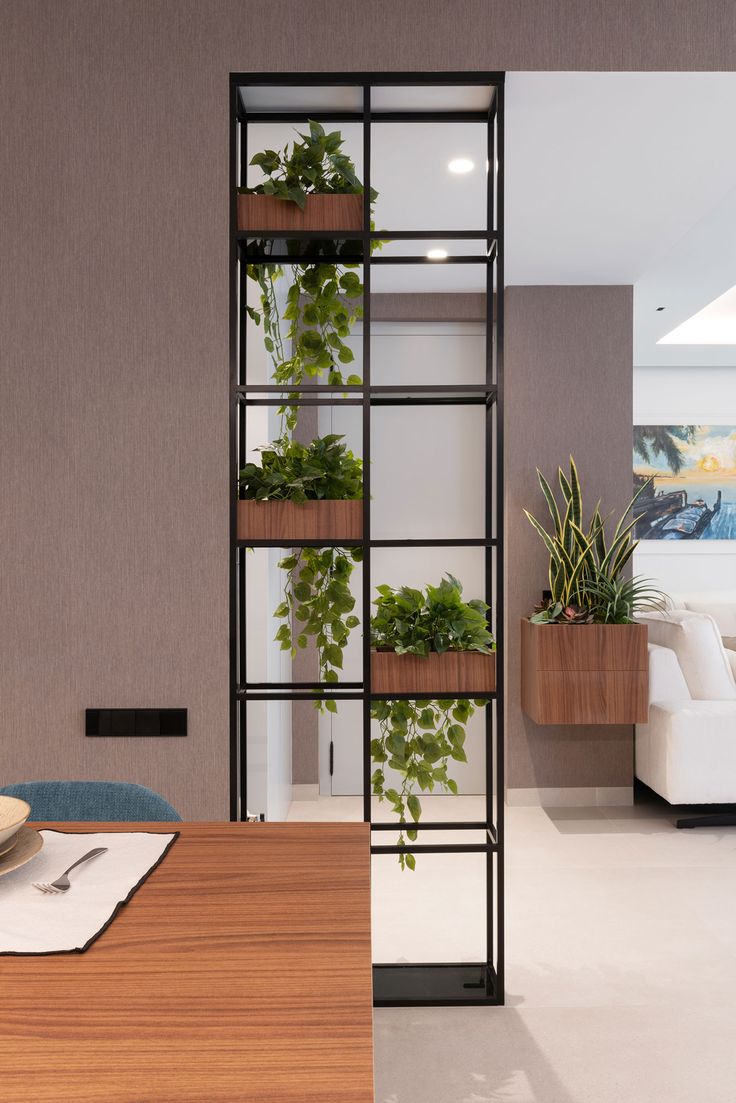Indoor Plant Experts Chennai image 4